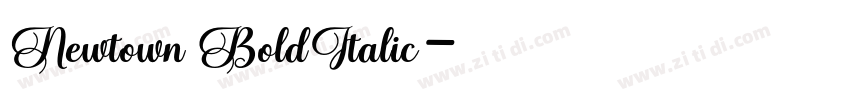 Newtown BoldItalic字体转换